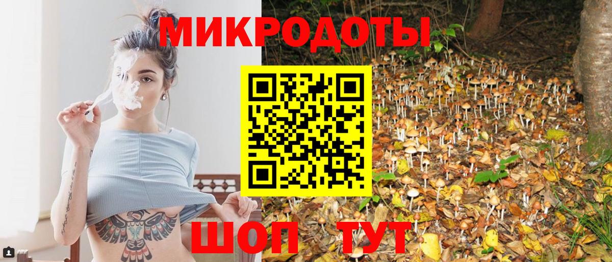 Галлюциногенные грибы Psilocybine cubensis Донской