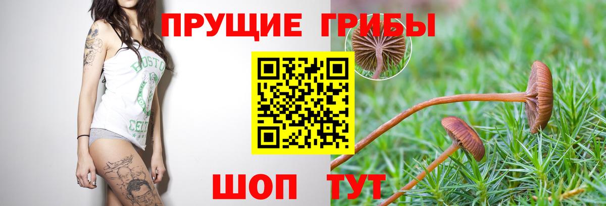 Псилоцибиновые грибы Magic Shrooms  Псилоцибиновые грибы ЛСД  Вход с VPN  Донской 
